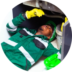 pest removal-service