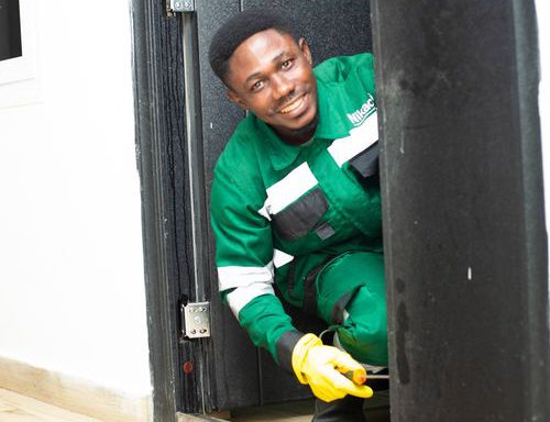 Nikao technician carrying out termite treatment