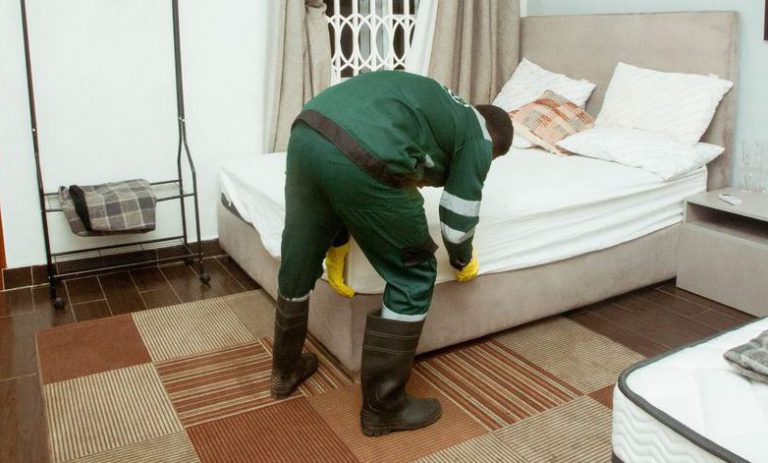 Bed Bug Treatment In Ghana: How To Remove Bed Bugs From Your Home Completely