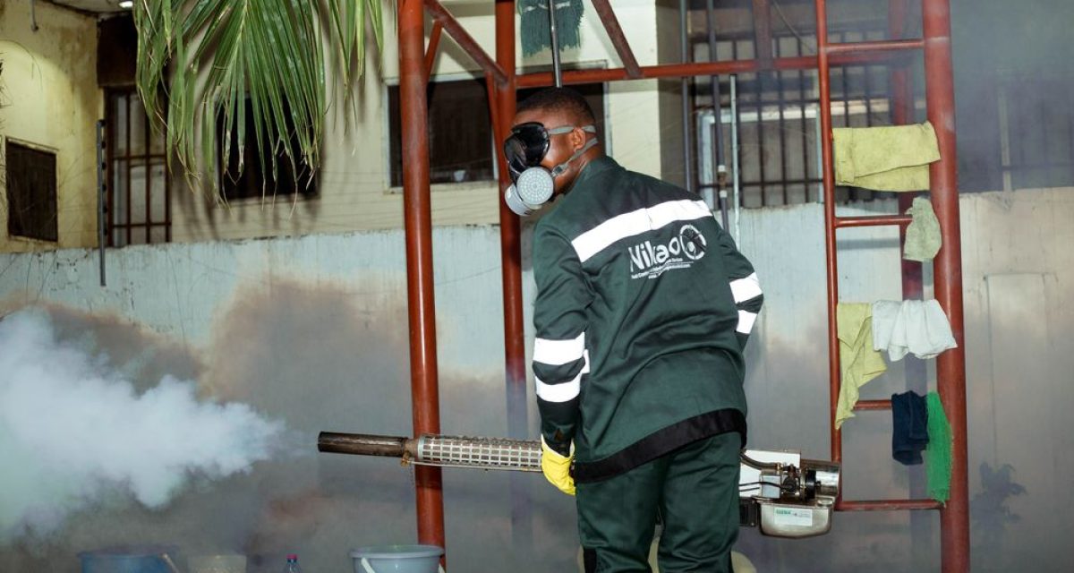 home fumigation